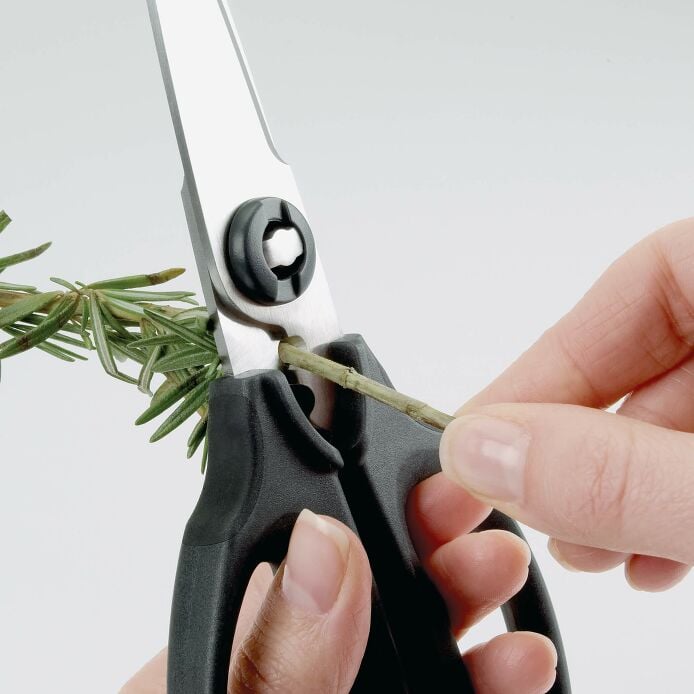 Kitchen And Herb Scissors S1