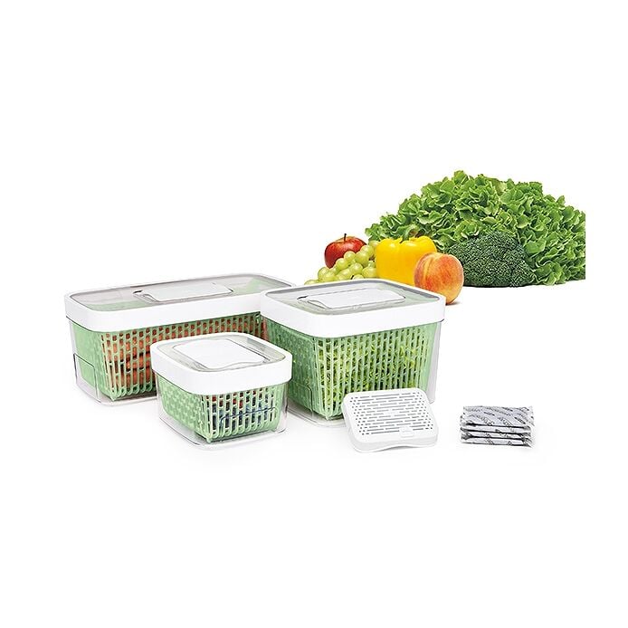 GreenSaver Produce Keeper (1.6 Qt) D5