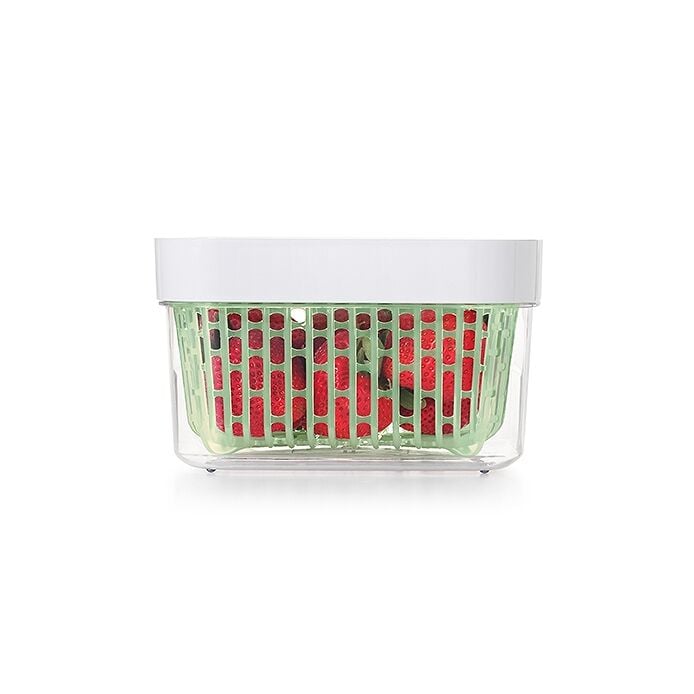 GreenSaver Produce Keeper (1.6 Qt) D5