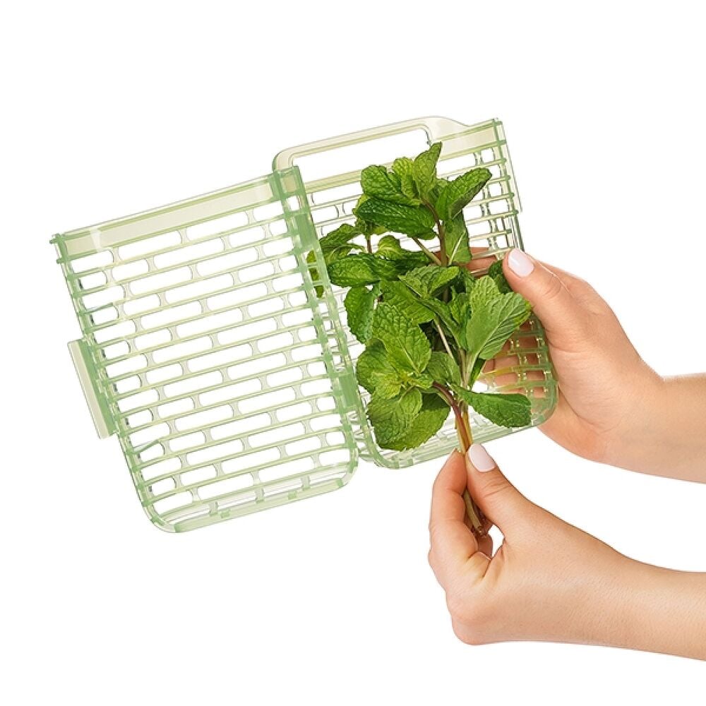 GreenSaver Herb Keeper - Small N6