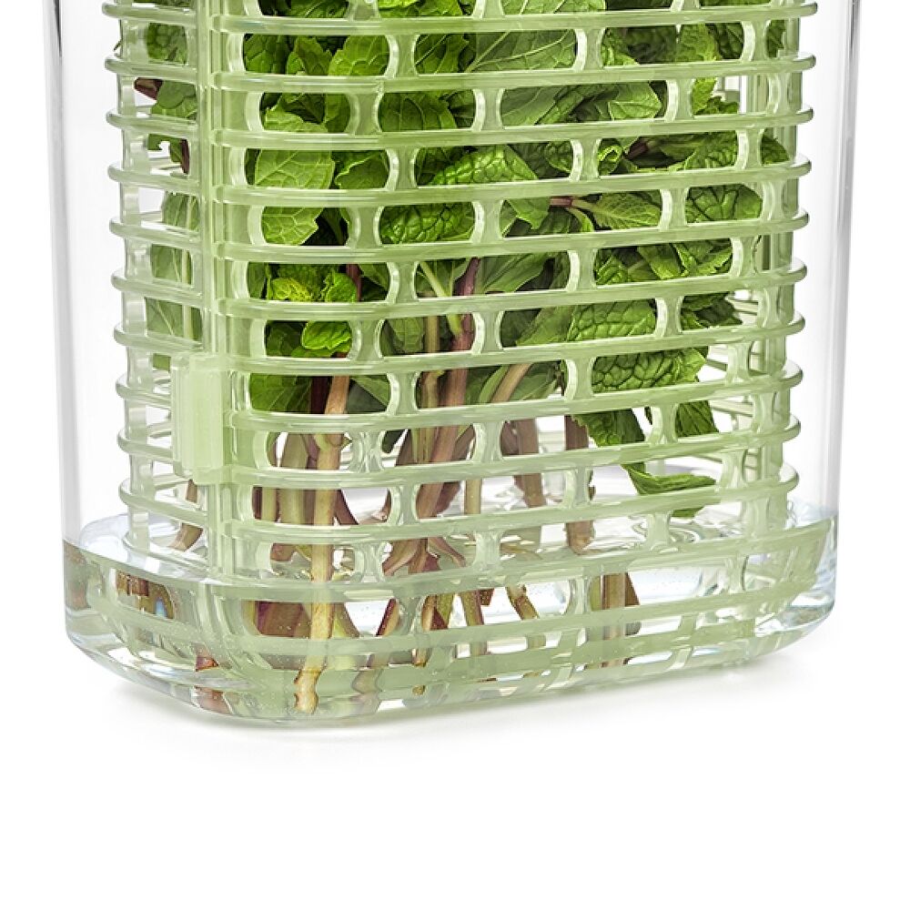 GreenSaver Herb Keeper - Small N6