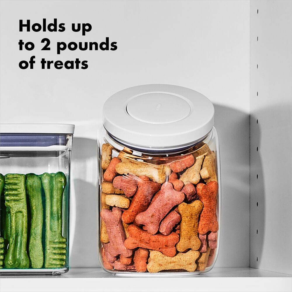 OXO Good Grips Pet POP Container – 3.0 Qt/2.8 L U3