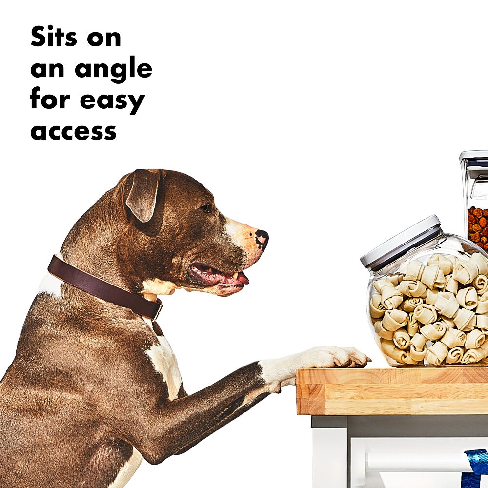 OXO Good Grips Pet POP Container – 3.0 Qt/2.8 L Y7