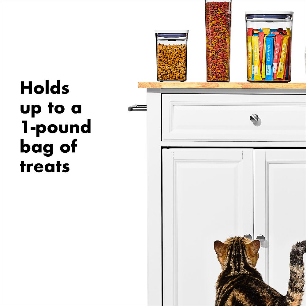 OXO Good Grips Pet POP Container – 1.1 Qt/1 L I7