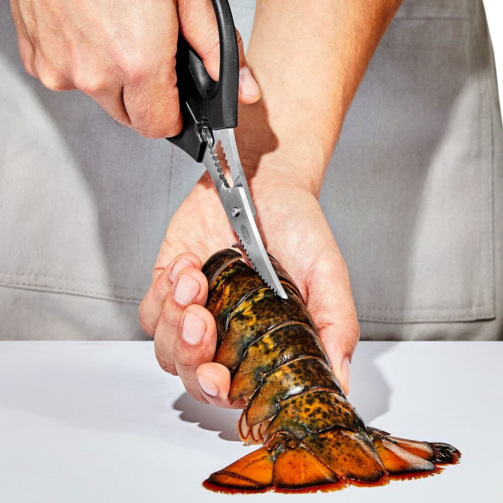 Seafood Scissors H9