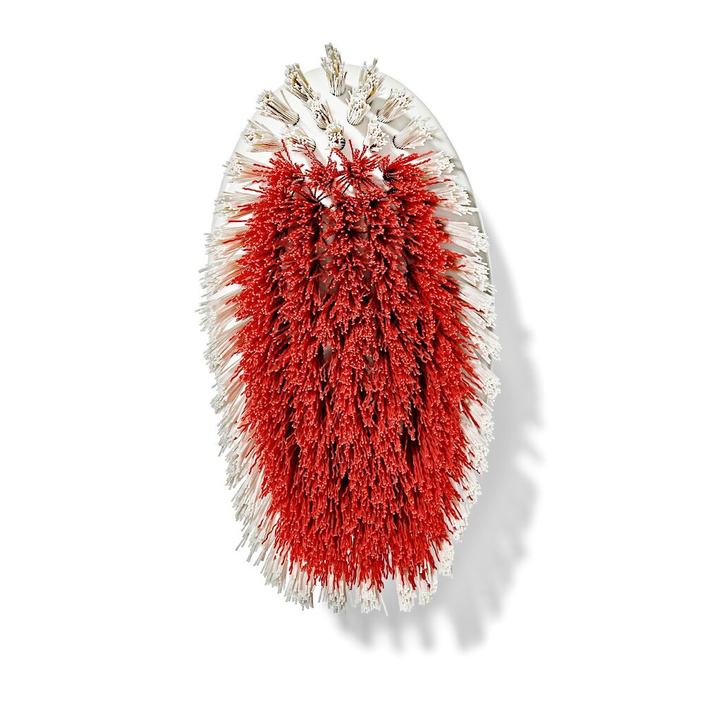 All-Purpose Scrub Brush 2-Pack J2
