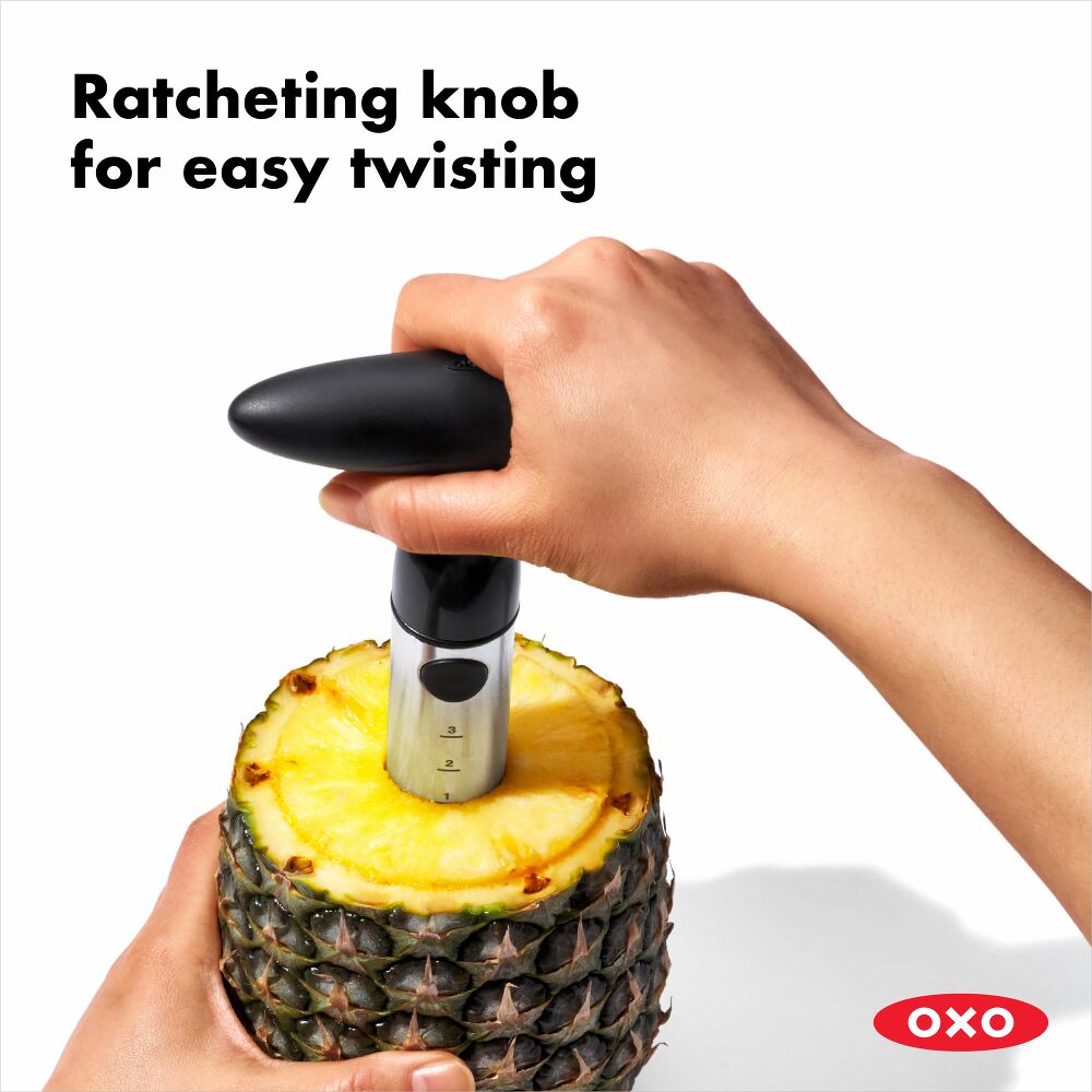 Stainless Steel Pineapple Slicer C8
