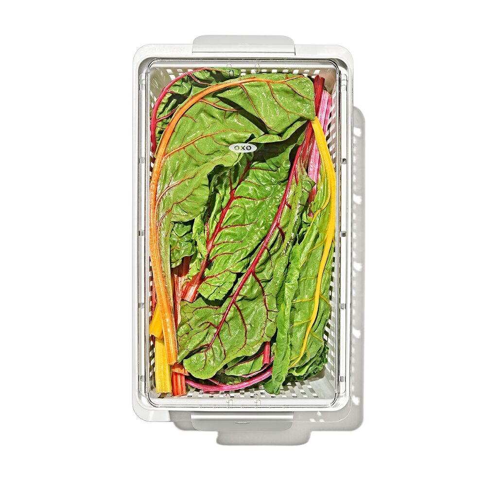 Produce Saver - Large Bin F6