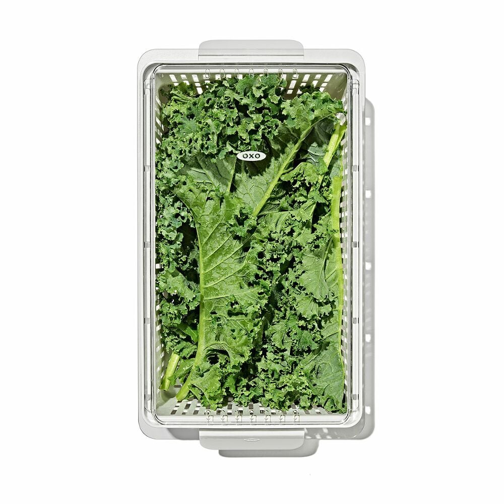 Produce Saver - Medium Bin O2