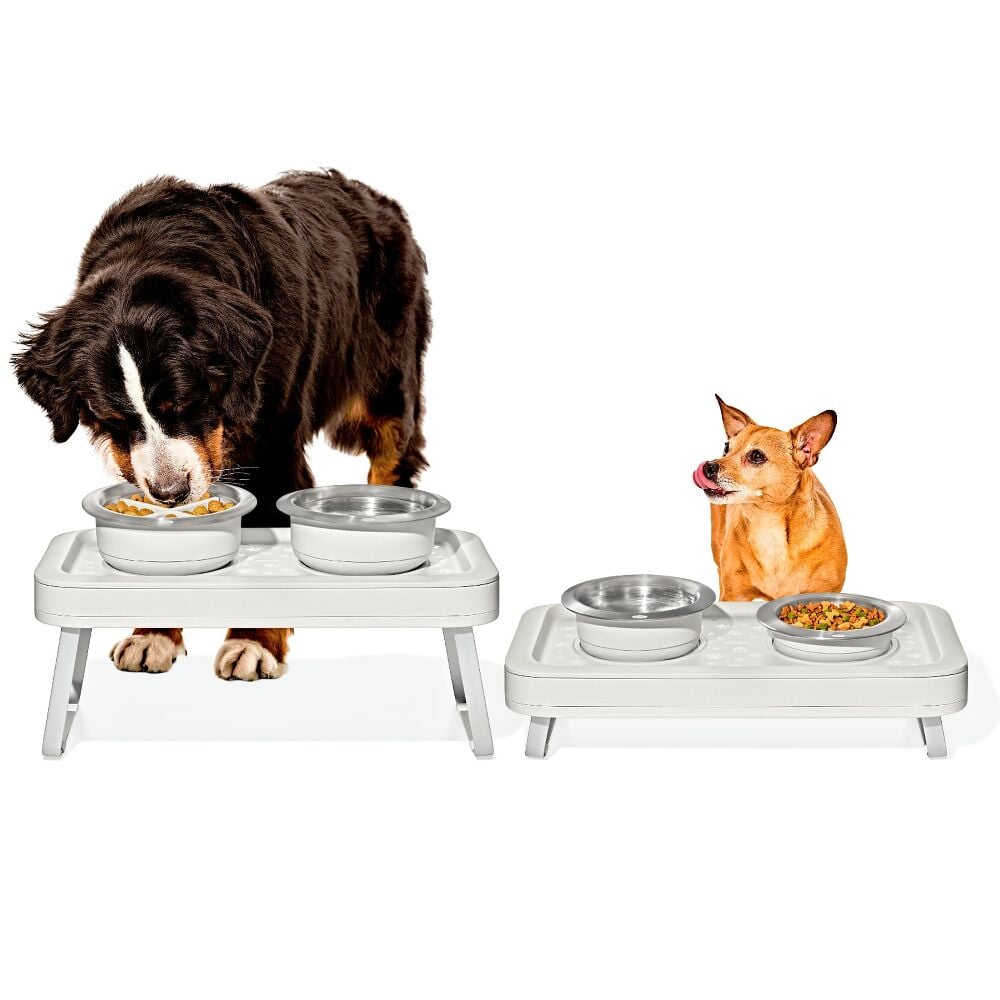 OXO Pet Adjustable Elevated Feeder I0