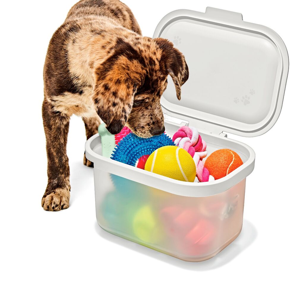 OXO Pet Multi-Purpose Container M5