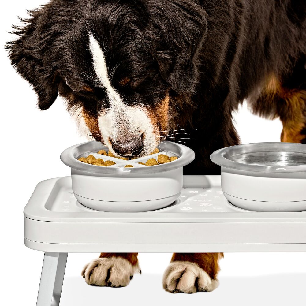 OXO Pet Easy-Clean Slow Feeder - Medium, 2 Cups/489 mL C6