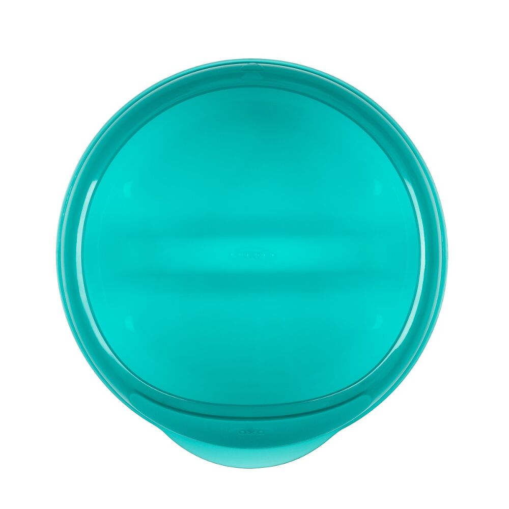 Divided Feeding Dish with Removable Ring H1
