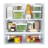 GreenSaver Produce Keeper (1.6 Qt) D5