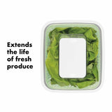 GreenSaver Produce Keeper (4.3 Qt) F9