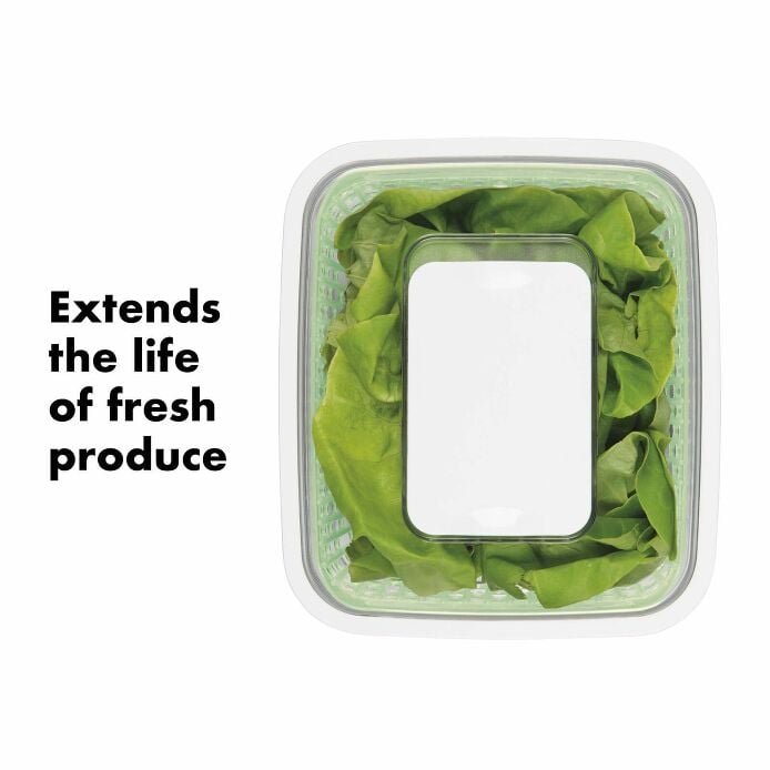 GreenSaver Produce Keeper (4.3 Qt) F9