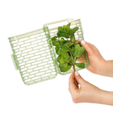 GreenSaver Herb Keeper - Small N6