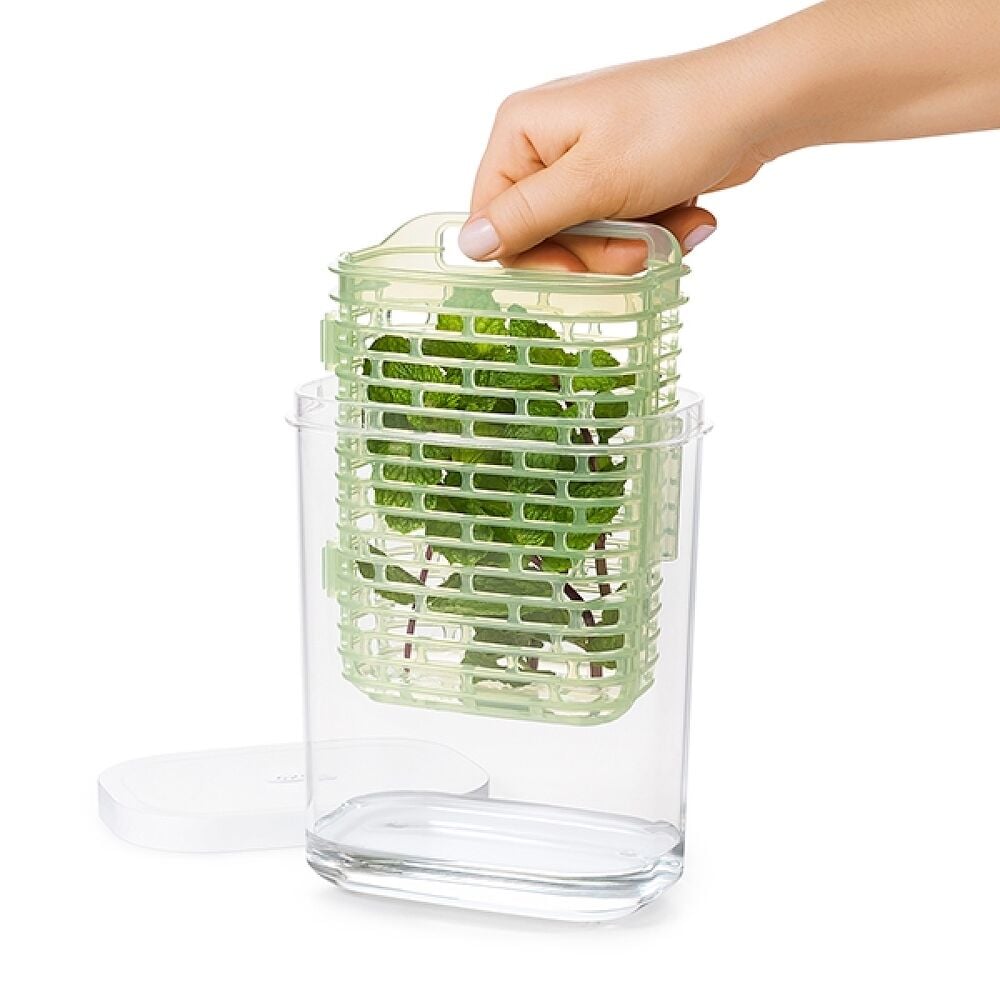 GreenSaver Herb Keeper - Small N6