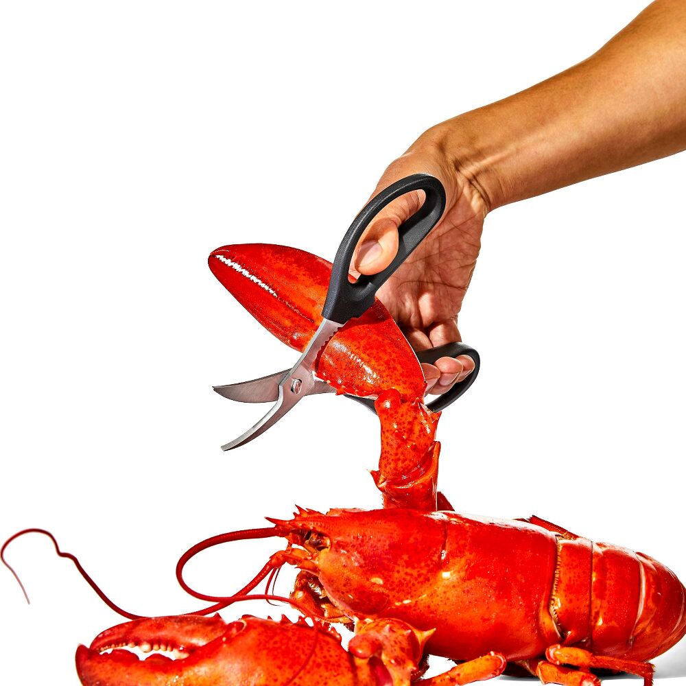Seafood Scissors H9