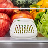 Produce Saver Crisper Drawer Insert  2-Pack P9