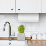 Steady Mounted Paper Towel Holder P4