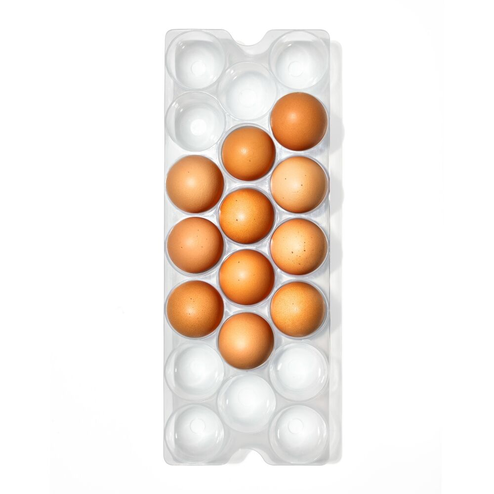 Refrigerator Egg Bin With Removable Tray B6