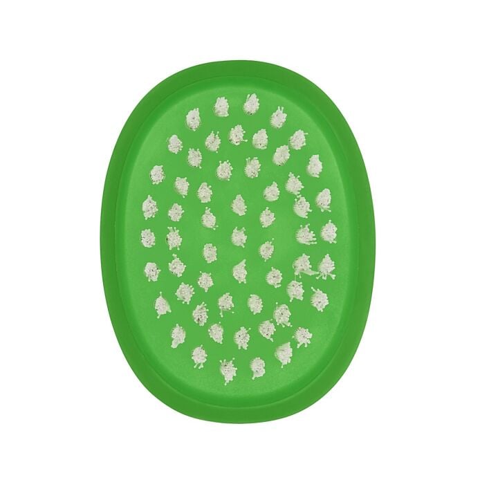 Vegetable Brush H9