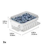 Produce Saver - Berry Keeper 2-Piece Set E5