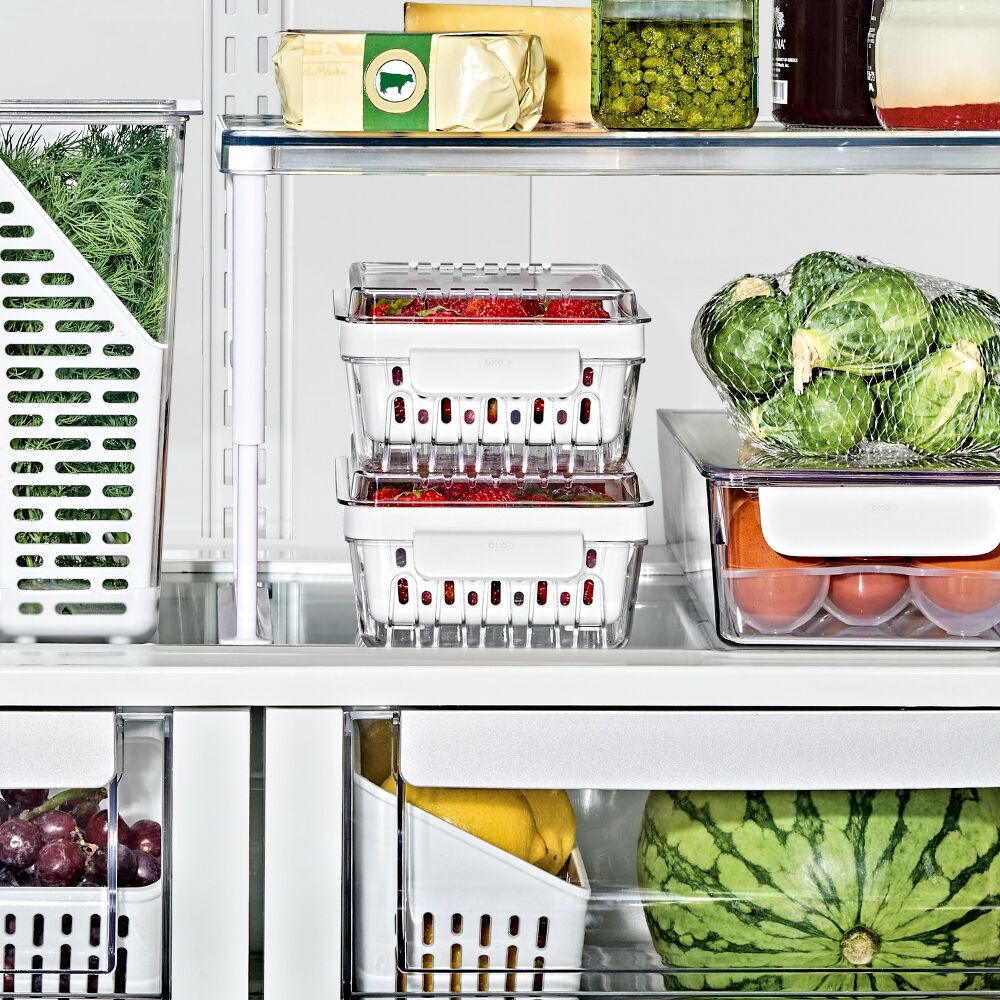 Produce Saver - Berry Keeper 2-Piece Set E5