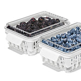 Produce Saver - Berry Keeper 2-Piece Set E5