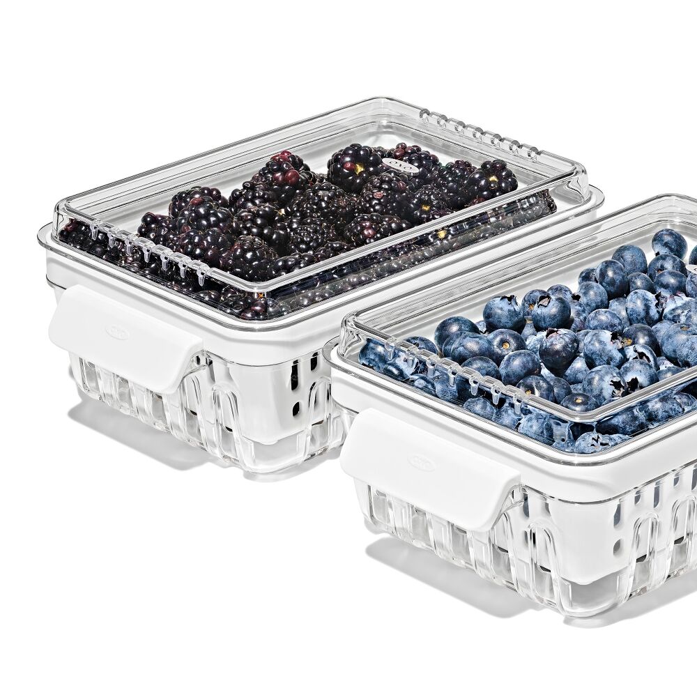 Produce Saver - Berry Keeper 2-Piece Set E5