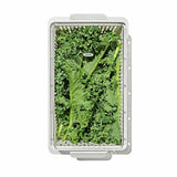 Produce Saver - Medium Bin O2