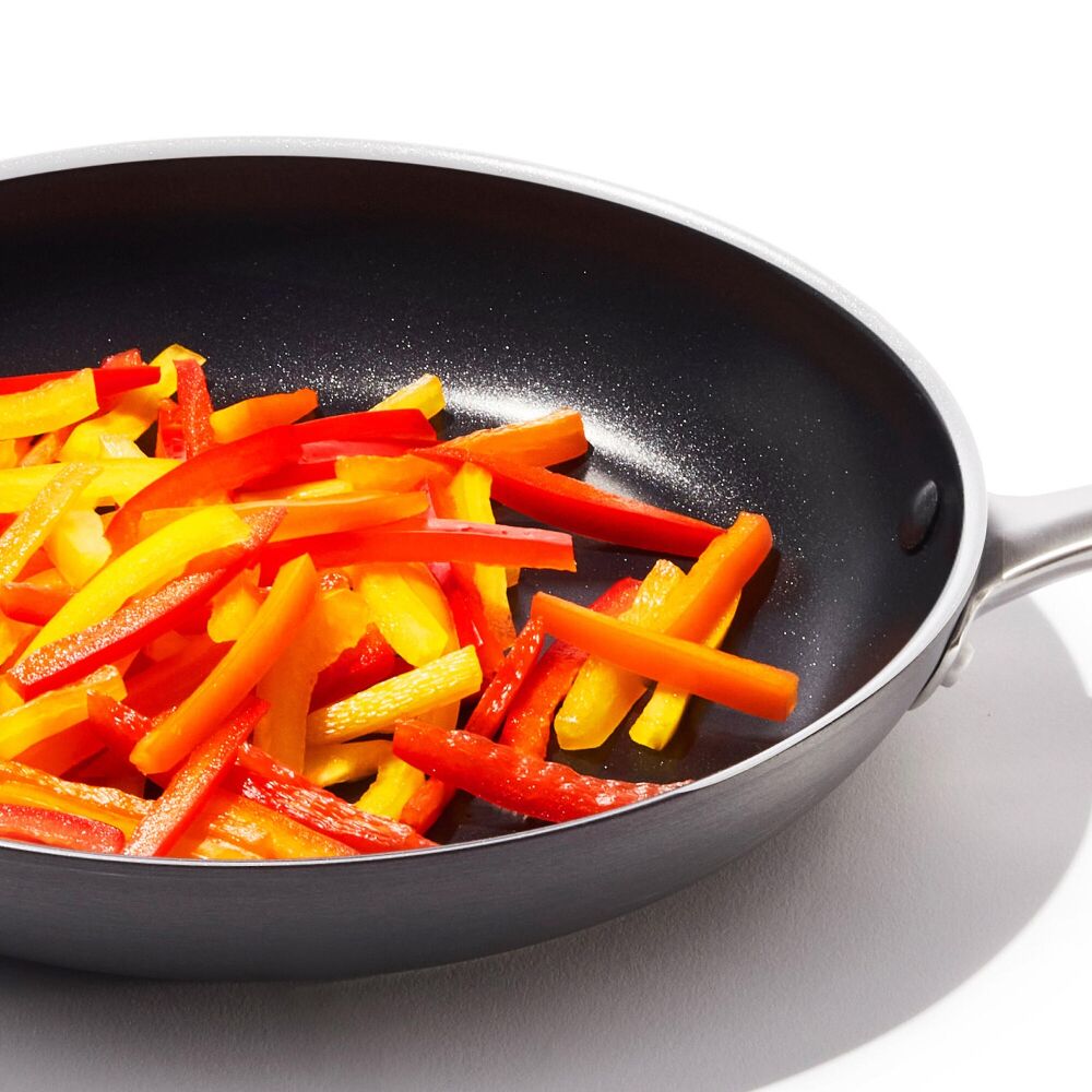 Non-Stick Pro Every Day 10 Inch Fry Pan U6