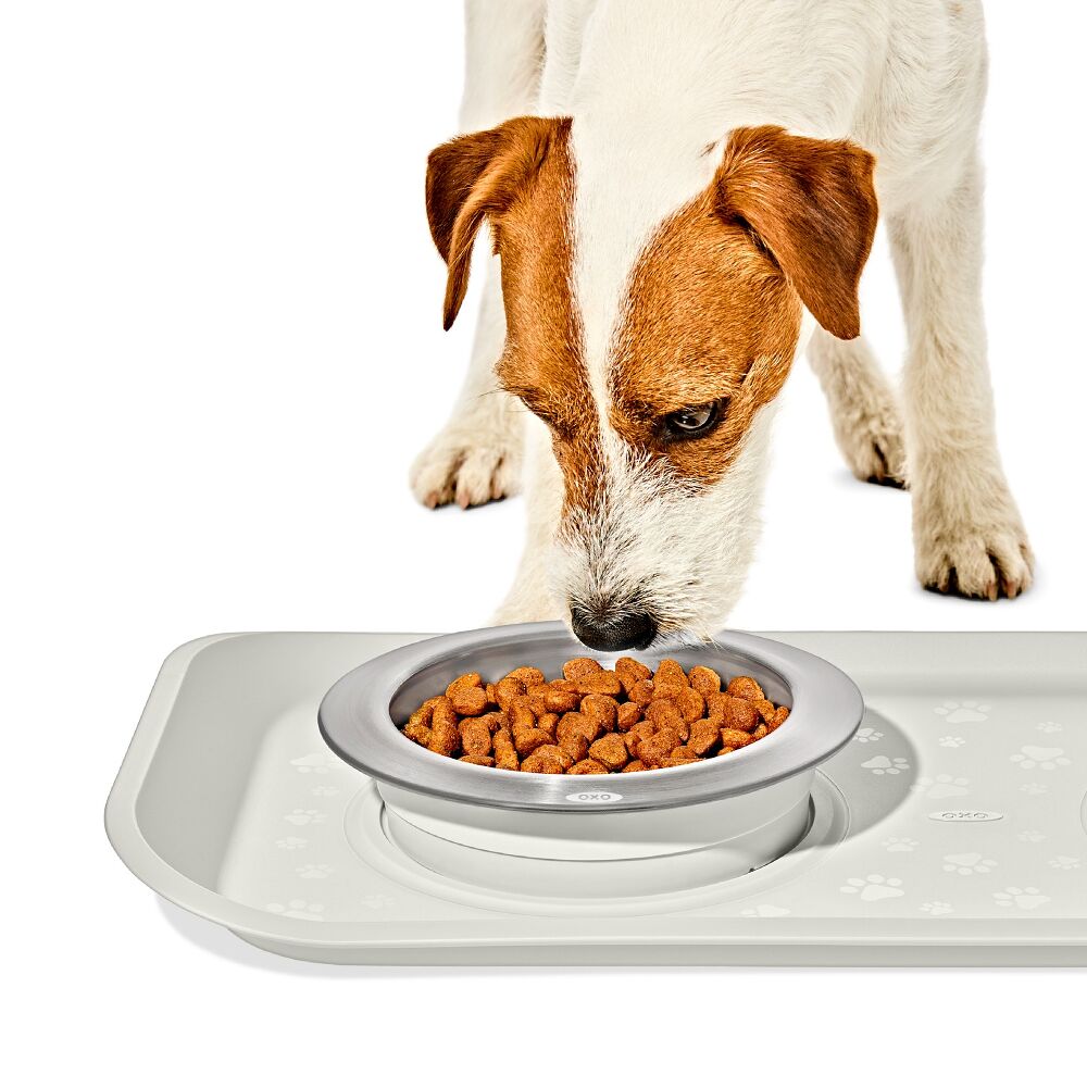 OXO Pet Nonslip Bowl - Small, 1 Cup / 240 mL O8