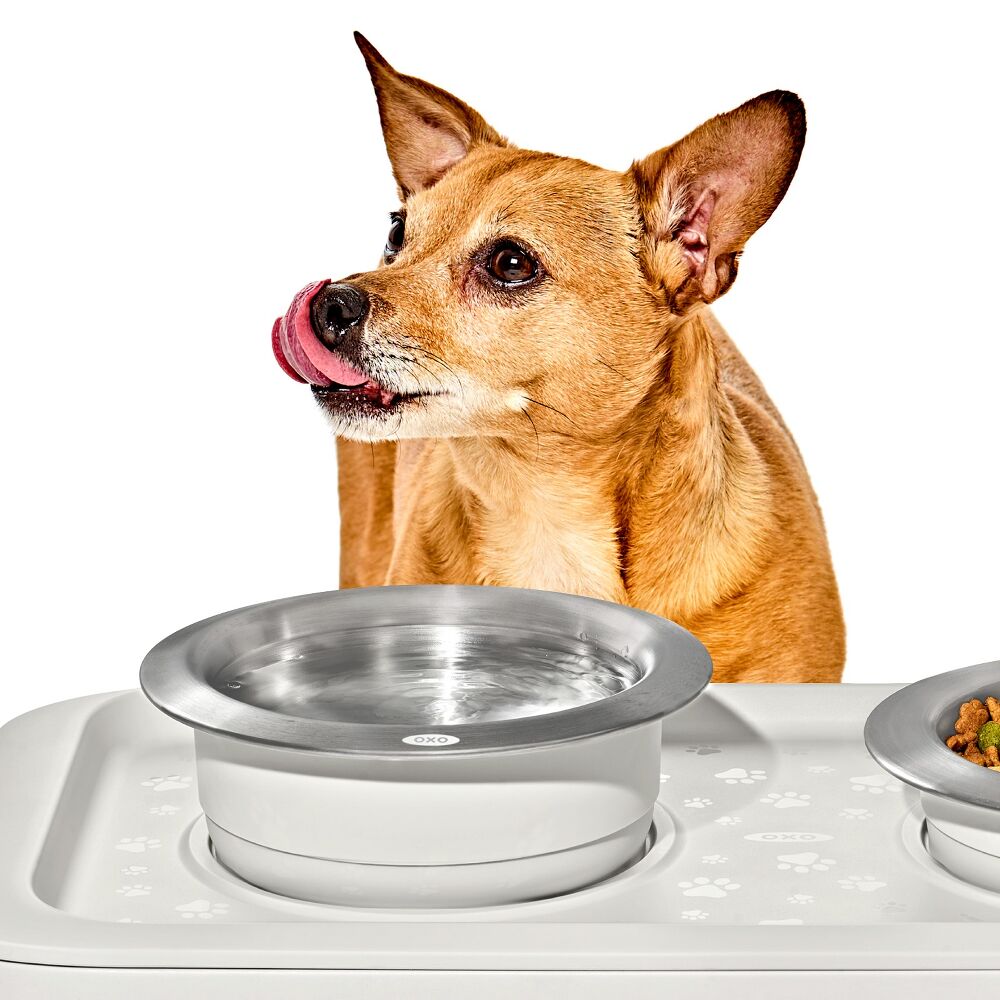 OXO Pet Nonslip Bowl - Medium, 2 Cups / 480 mL E6
