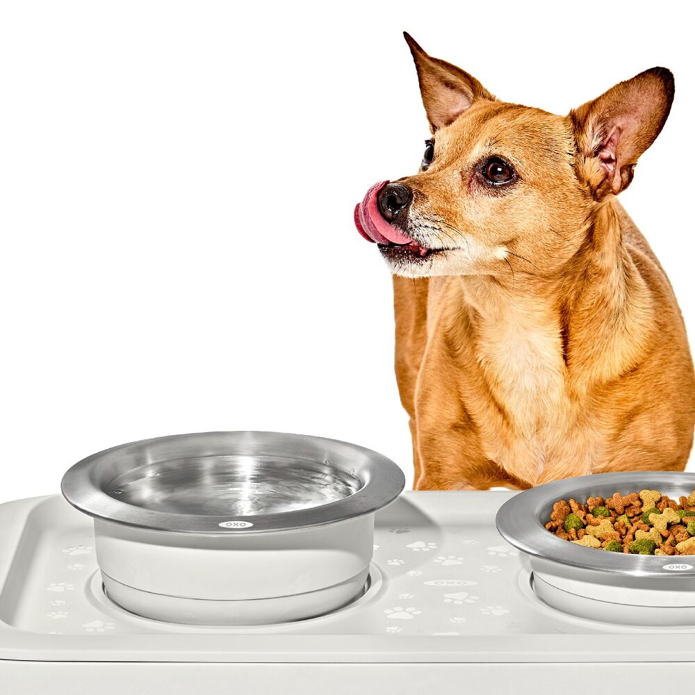 OXO Pet Nonslip Bowl - Large, 4 Cups / 950 mL R2