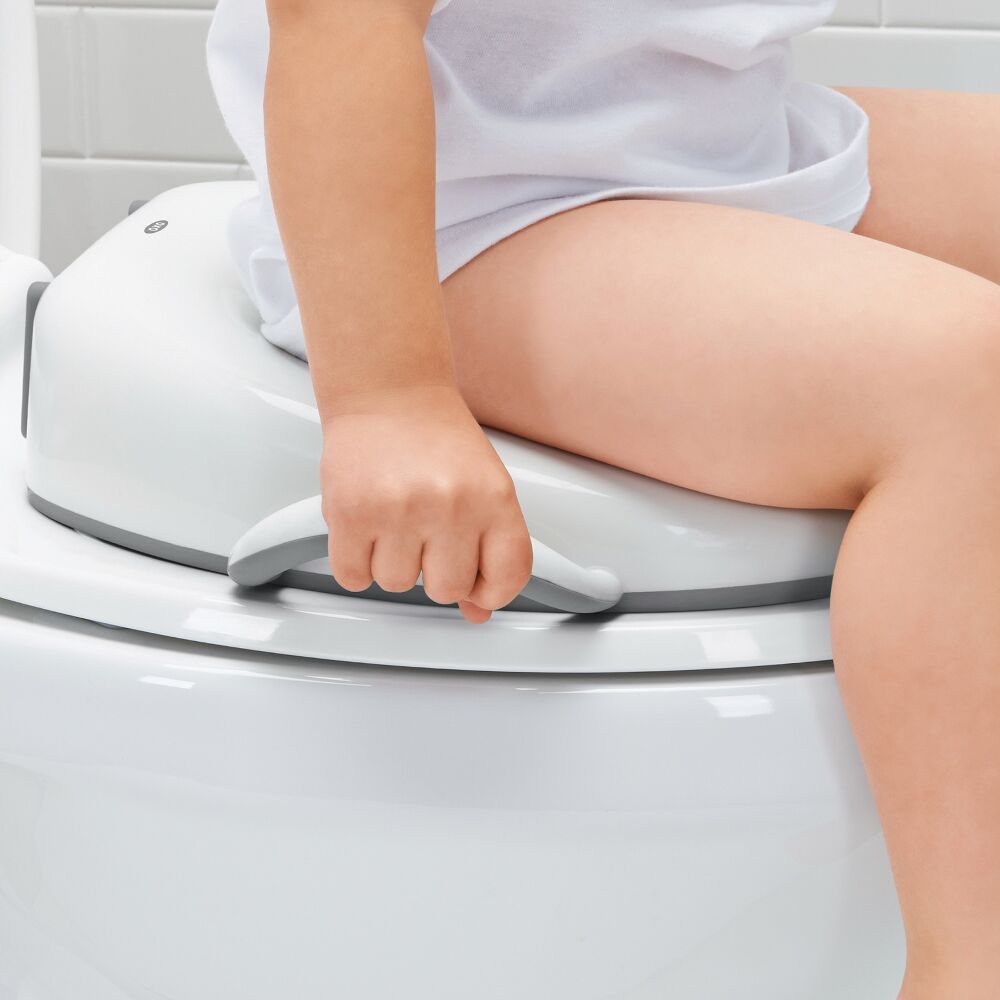Sit Right Potty Seat - Gray M9
